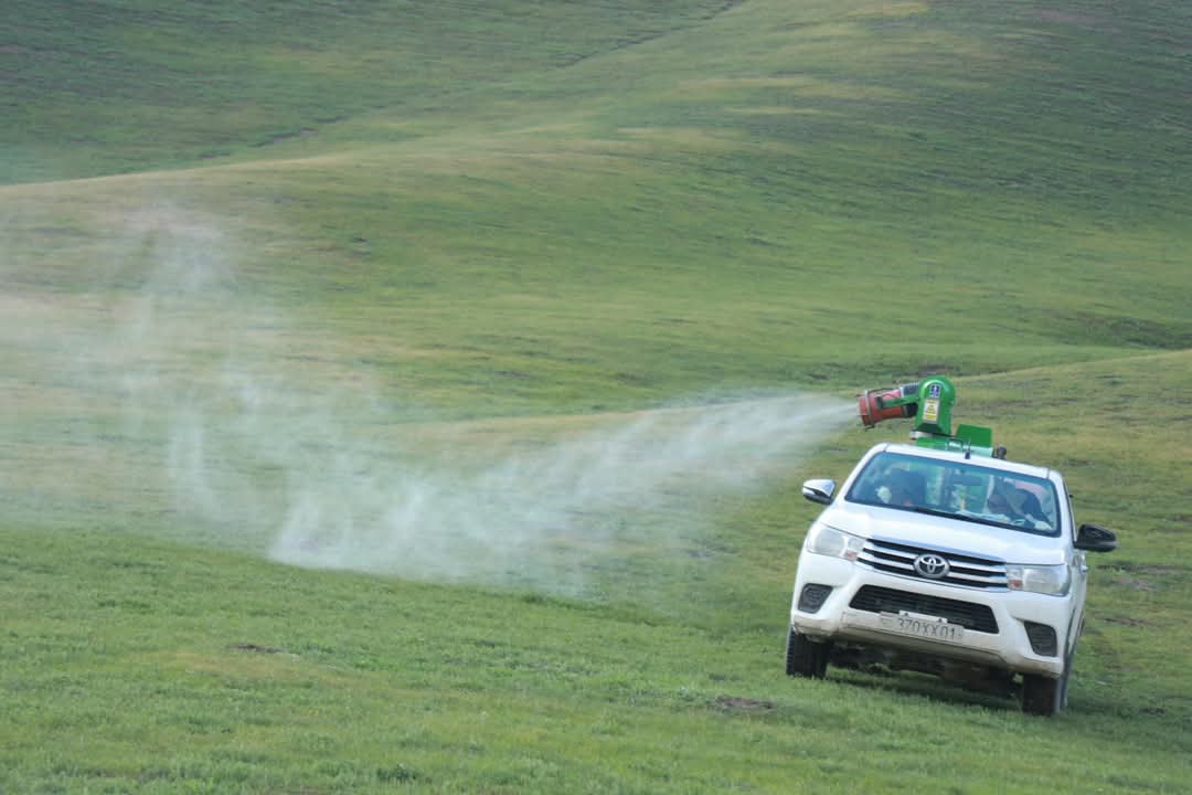 FB_IMG_1743493439771