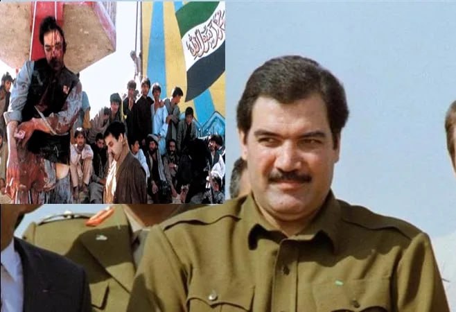 photo_5238170714845083169_x