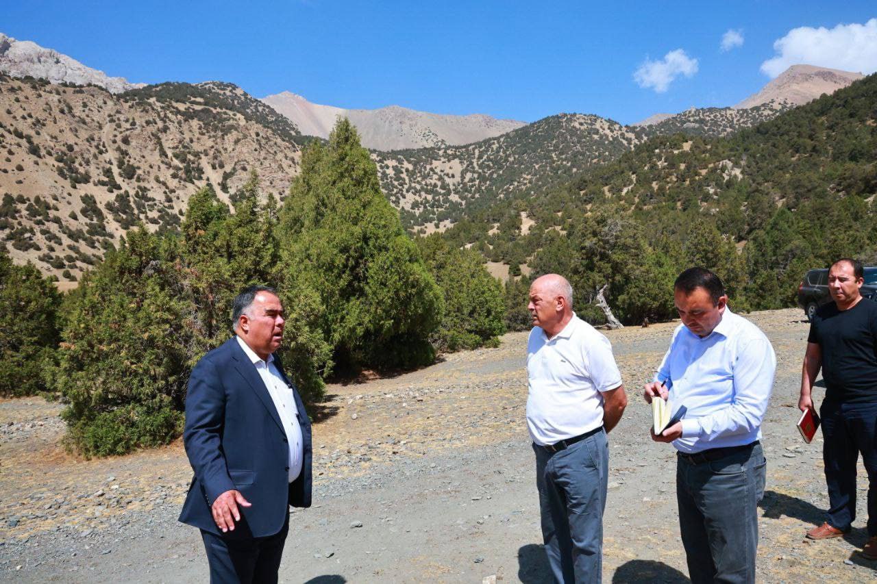 photo_5287320460859668332_y