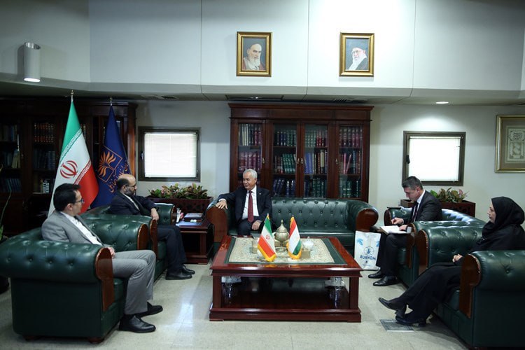 photo_5296694501861096970_x