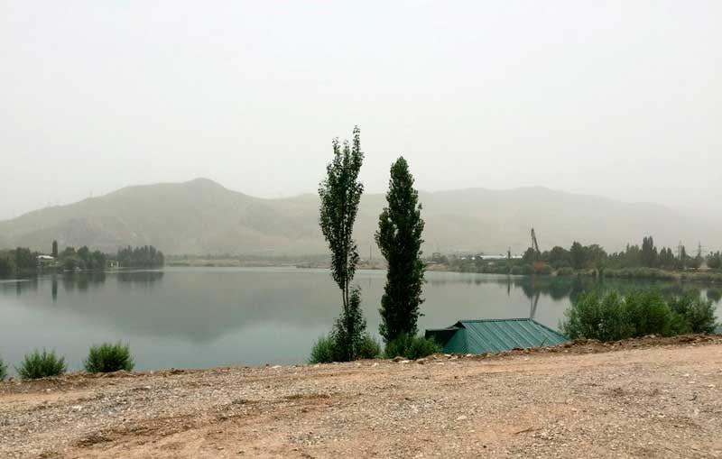 photo_5307921438998657844_x