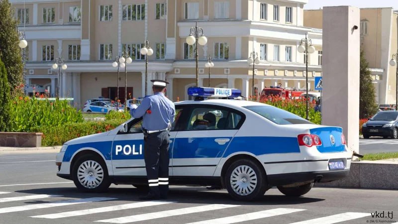 photo_5307921438998657854_x