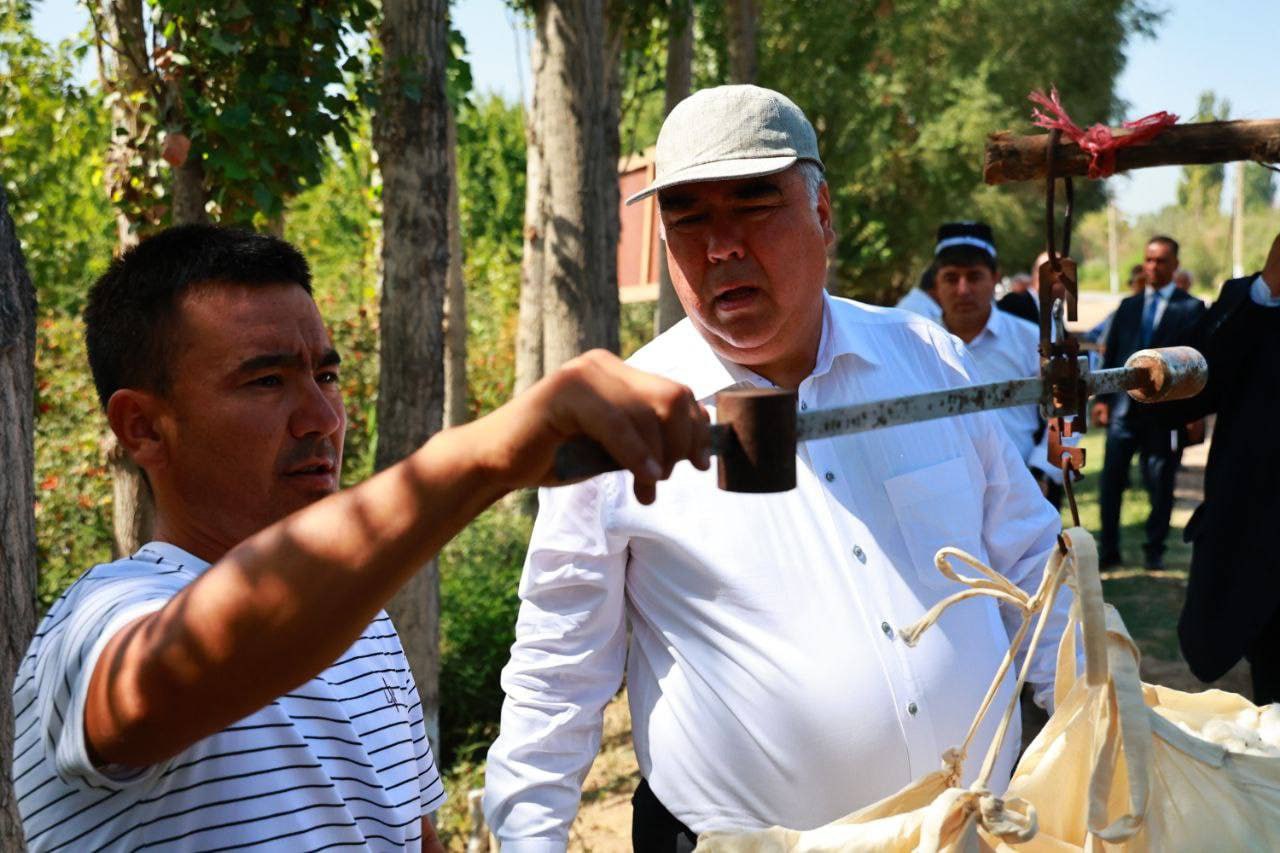 photo_5318851761399793603_y