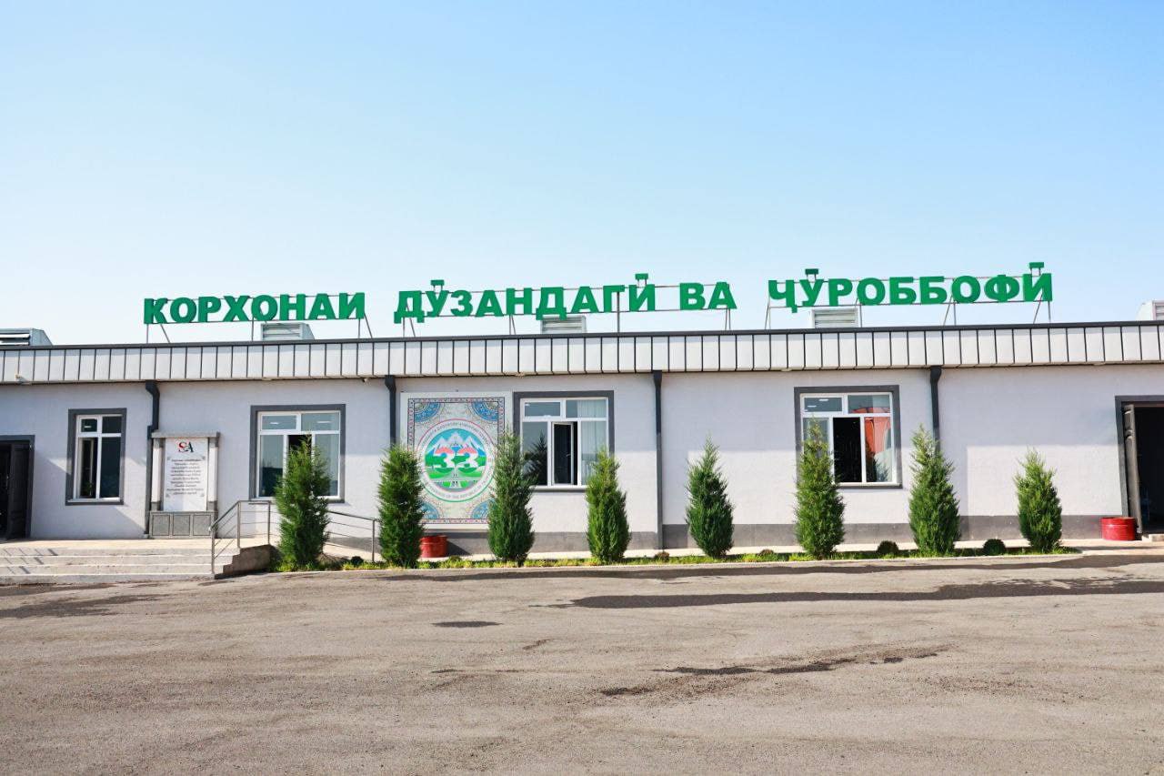 photo_5318851761399793604_y