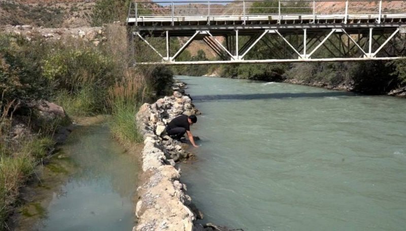 photo_5318972458570742195_x