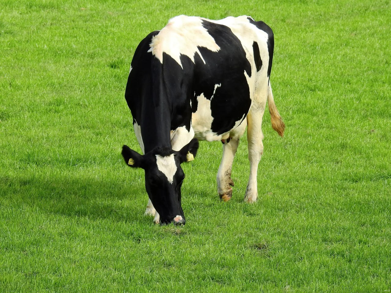 photo_5355208311668079642_y