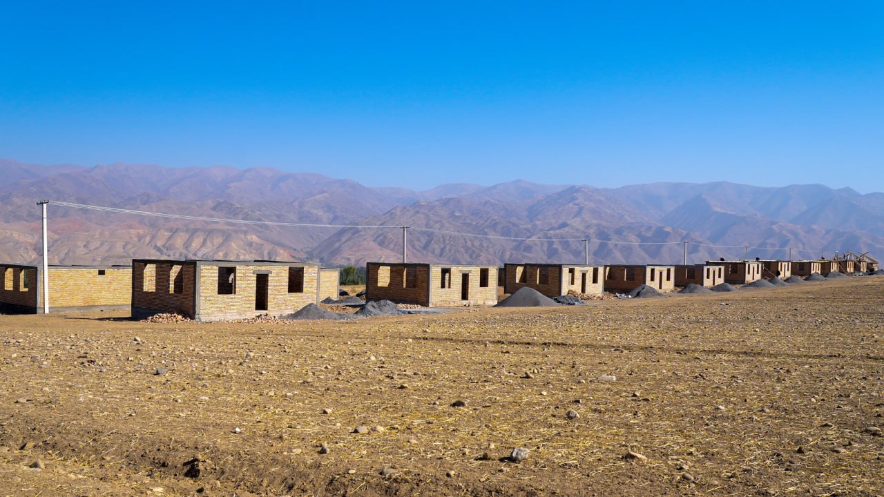 photo_5395738238708218326_y