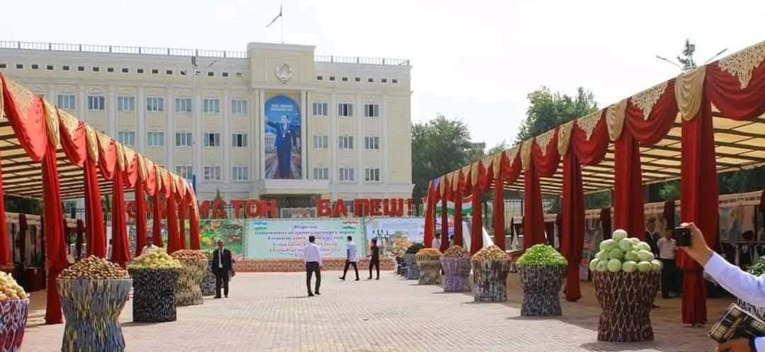 photo_5397955051718312079_y