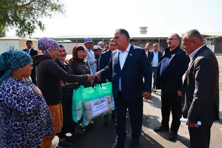 photo_5418020992896346706_x (1)