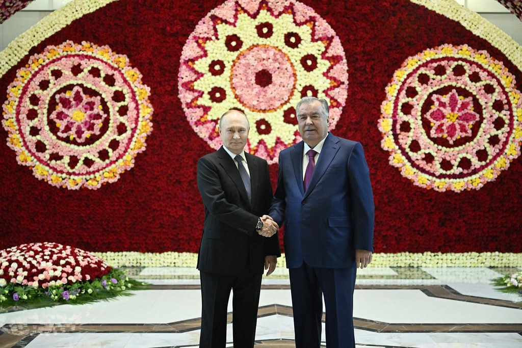 photo_5420272792710022464_y