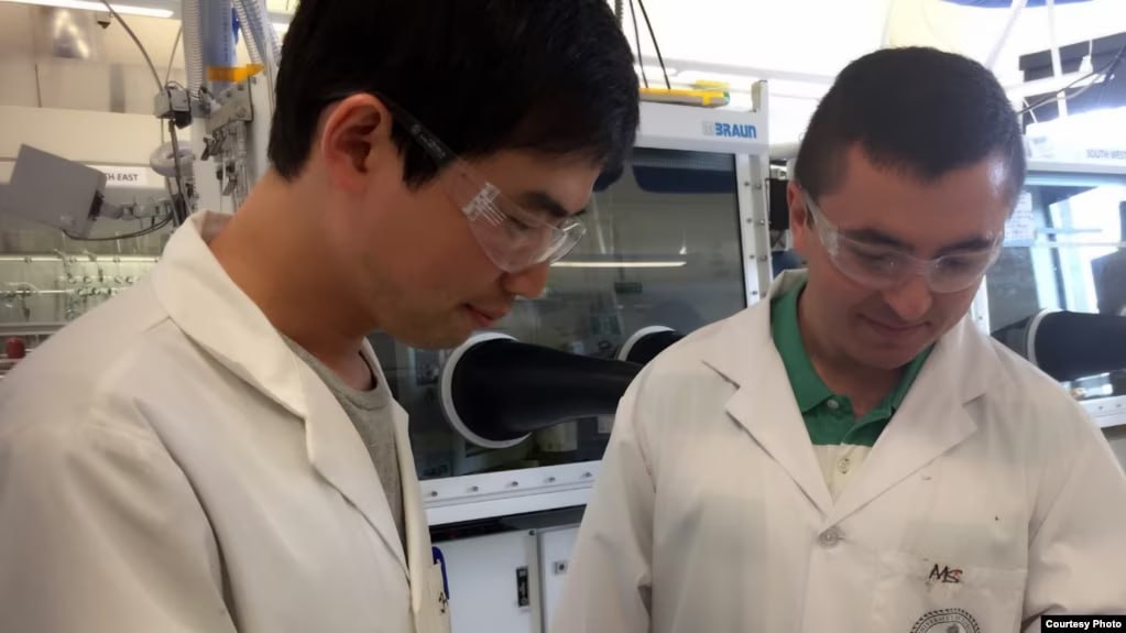 photo_5440568703616941609_y