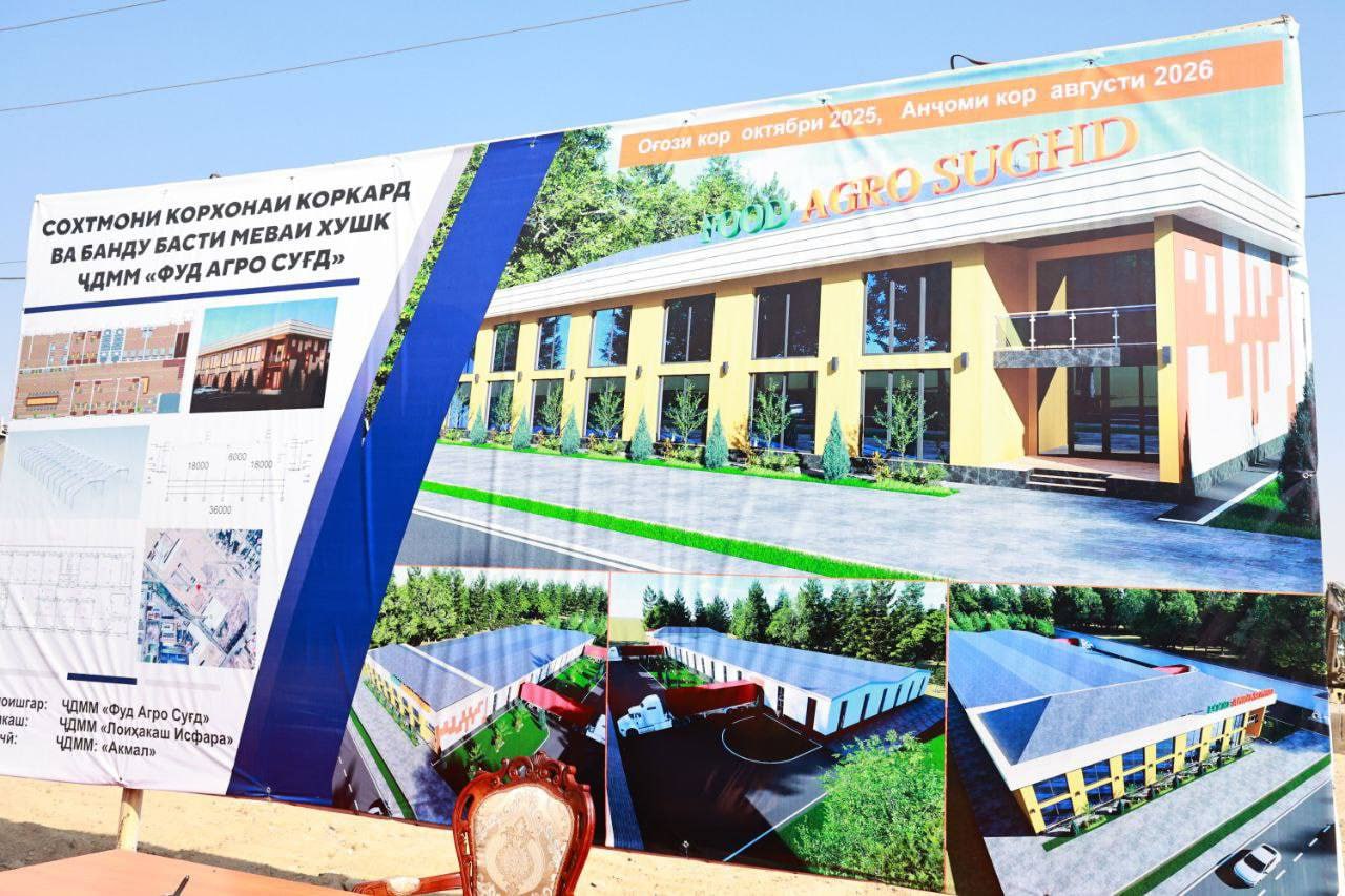 photo_5444870864983164163_y