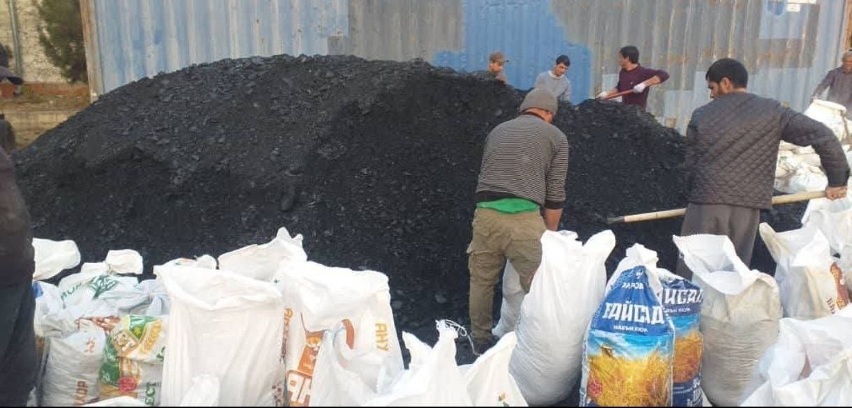 photo_5296781685405978498_y