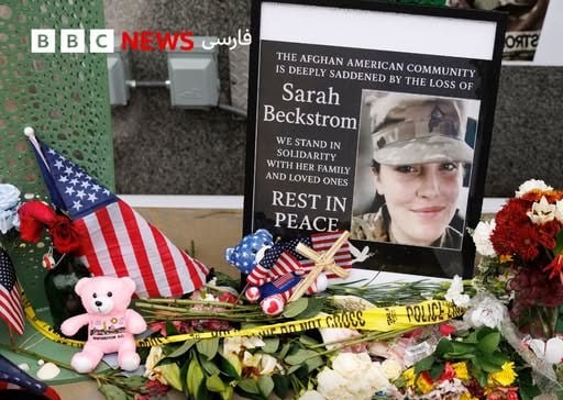 photo_5299033485219663856_x