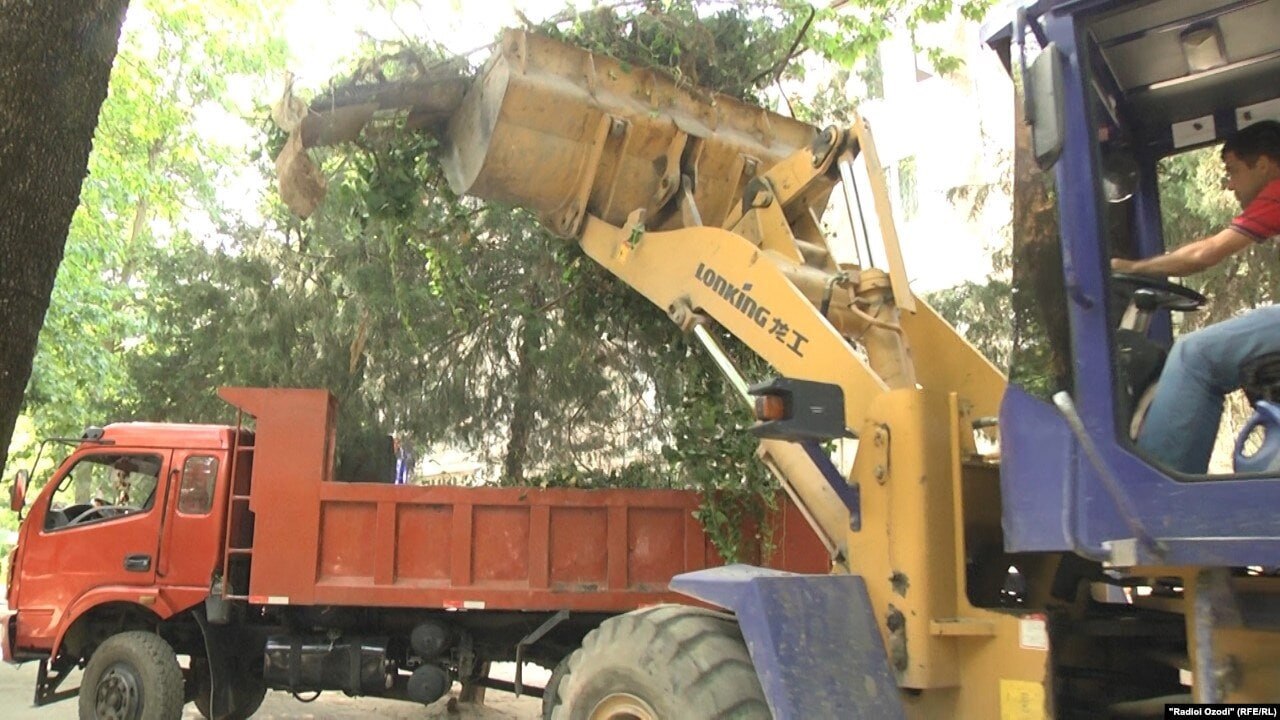 photo_5301248133566238406_y