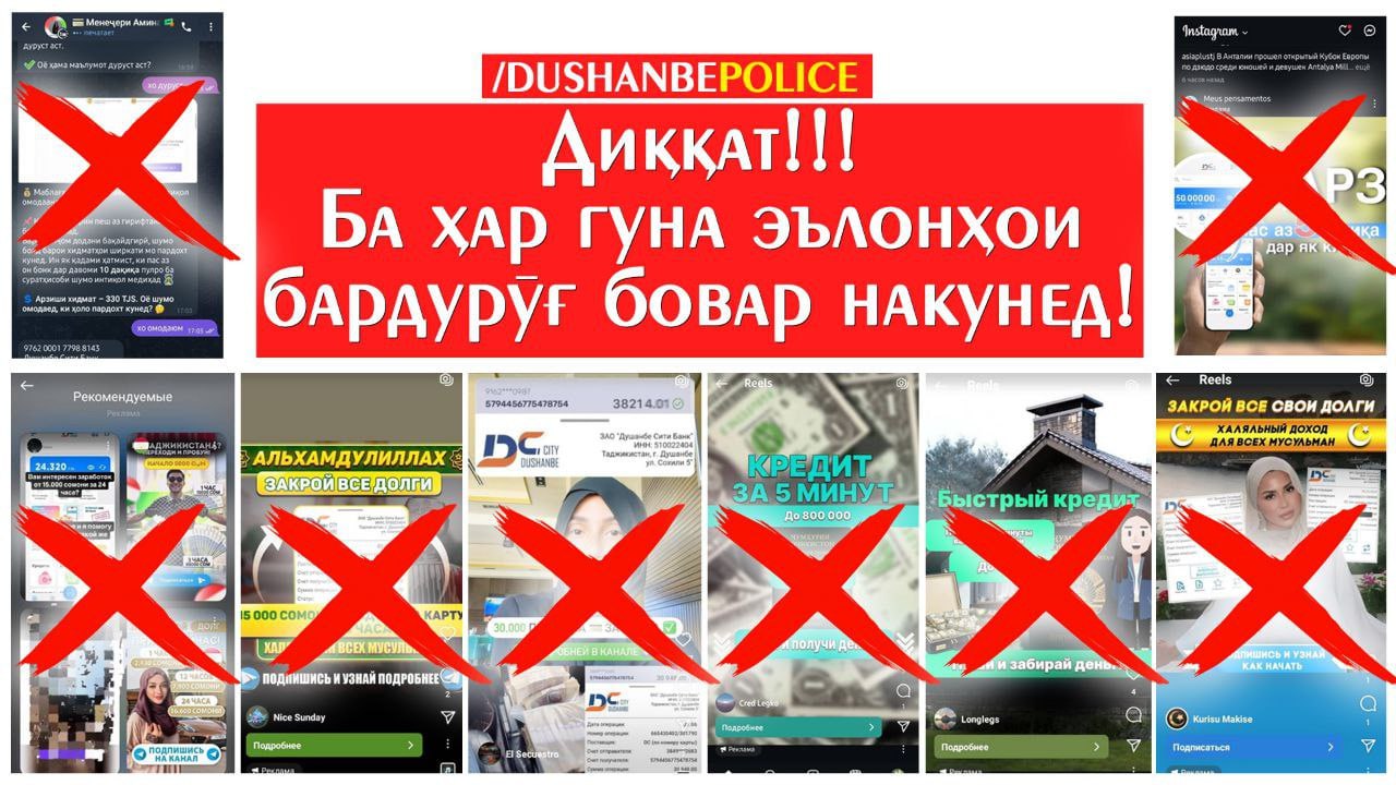 photo_5309778479781973654_y