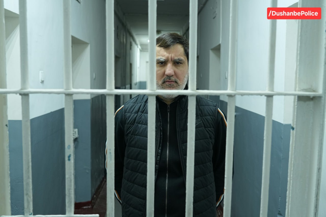 photo_5309778479781973783_y