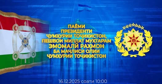 photo_5334627356670365039_x