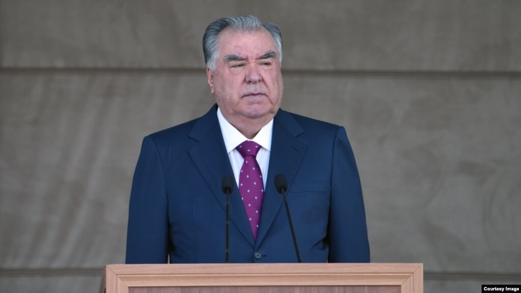 photo_5334627356670365120_y (1)