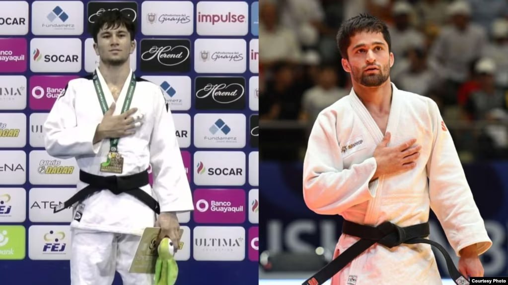 photo_5377851843112800205_y