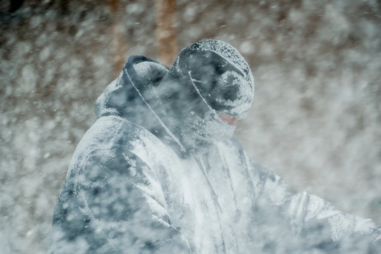 photo_5460988648888143715_y