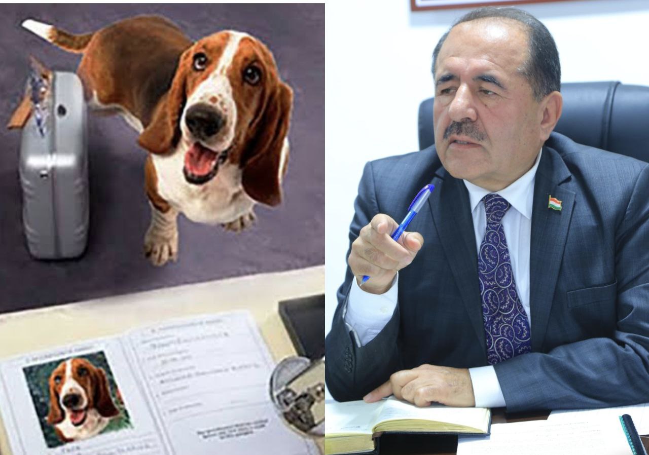 photo_5465534699972267253_y