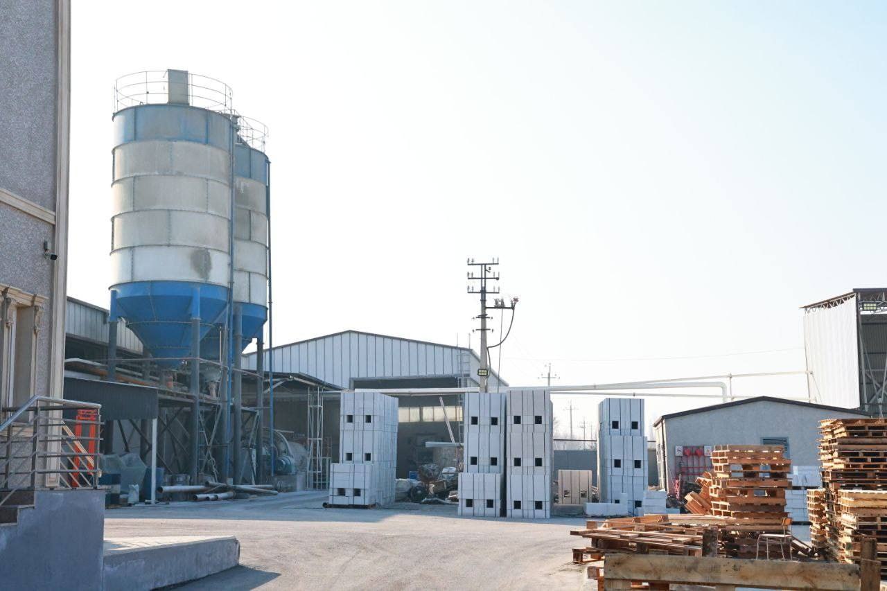 photo_5195025388948623894_y