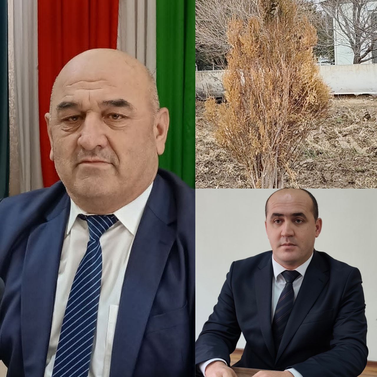 photo_5201692569761418125_y