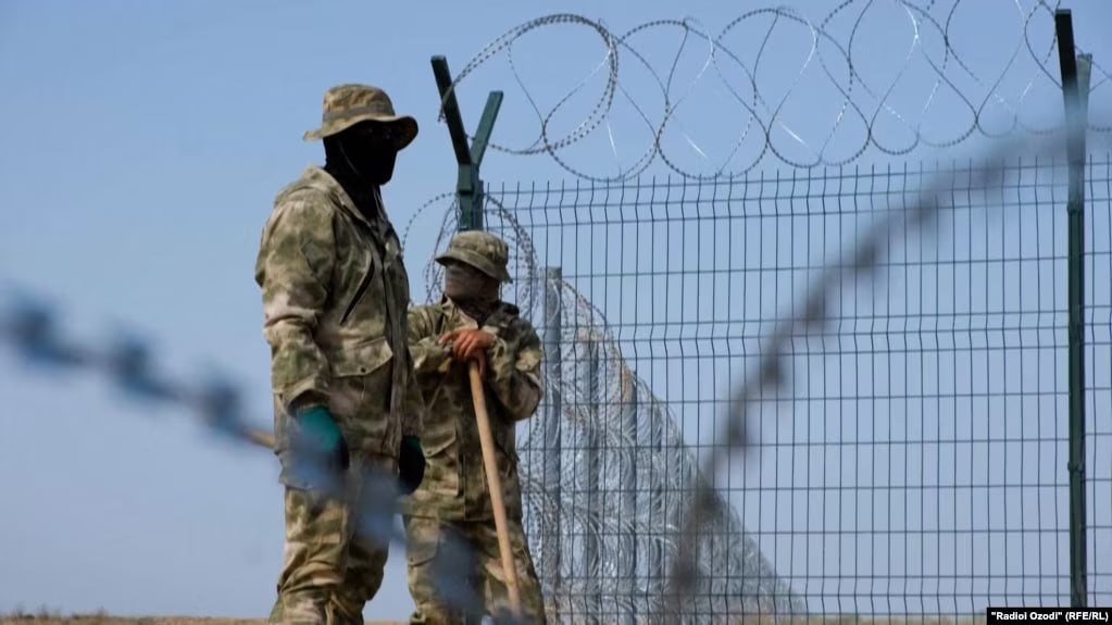 photo_5203941659450740662_y