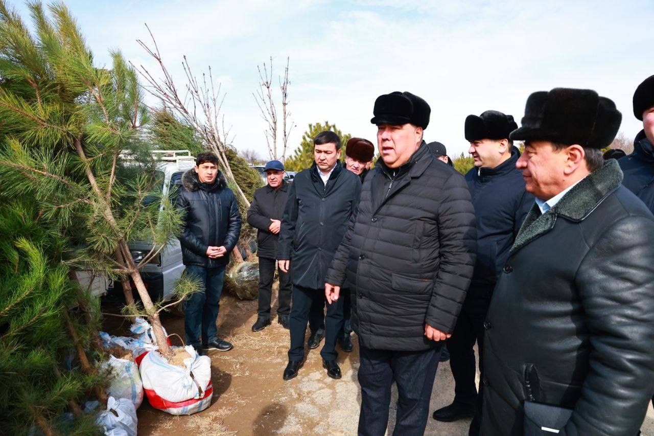 photo_5210896169280672932_y