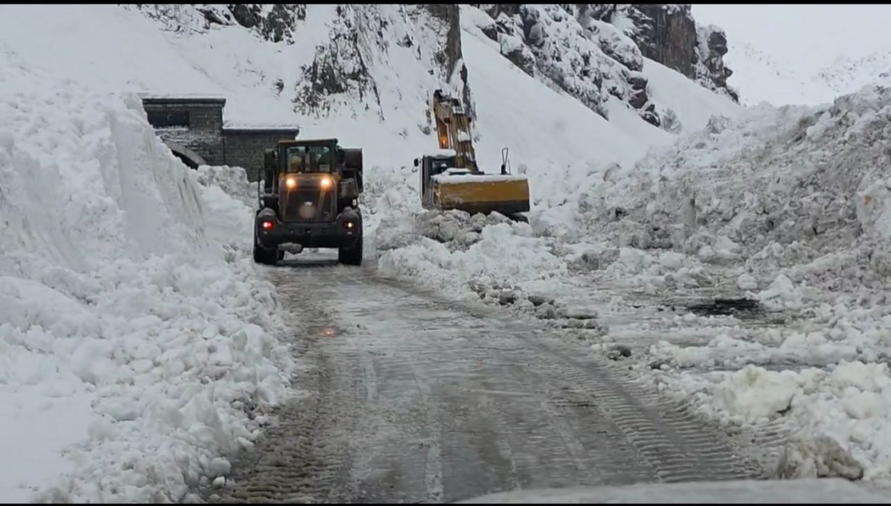 photo_5213444330427717034_y