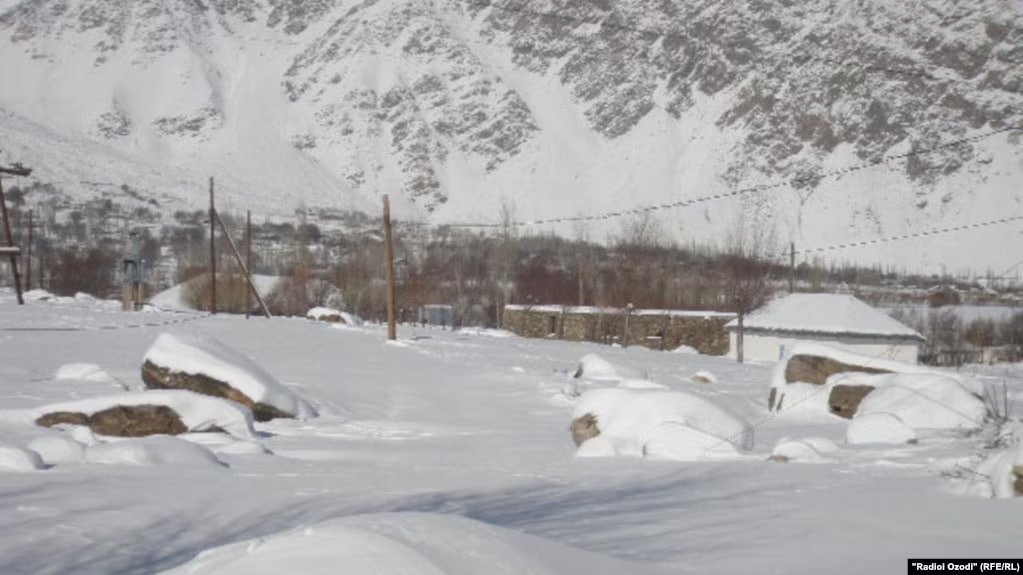 photo_5219842745072030527_y