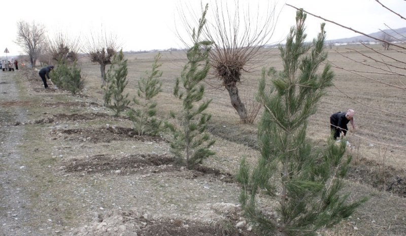 photo_5228751413482035048_x (1)