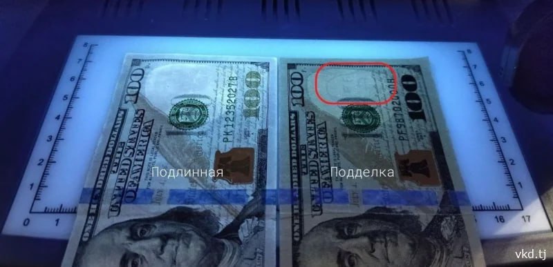 photo_5238057284762538791_x