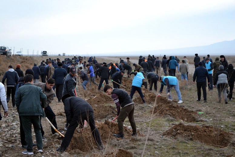 photo_5240401250279428703_x