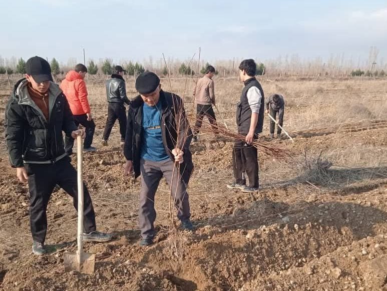 photo_5251266147443741847_x