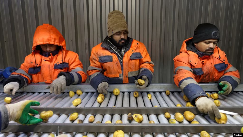 photo_5251266147443741884_y