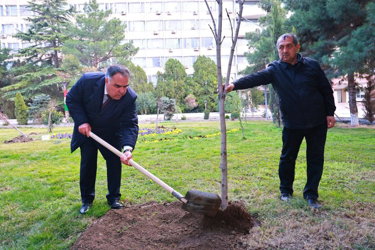 photo_5256214366380561643_y