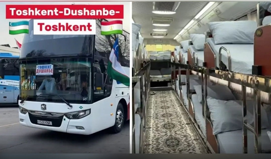 photo_5260567019382313715_y