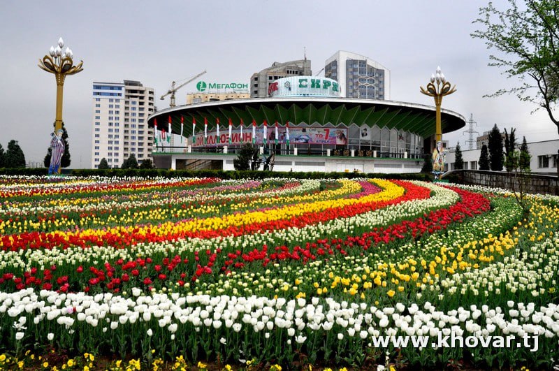 photo_5262818819195998481_x