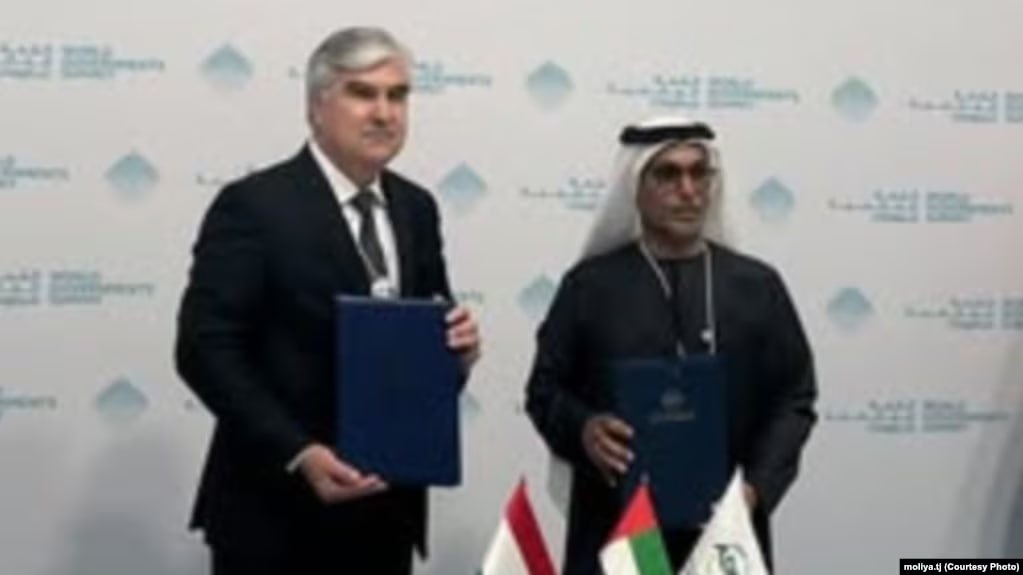 photo_5276400008297125474_y