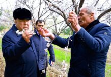 Раҷаб Аҳмадзода дар боғи миллии “Ваҳдат”