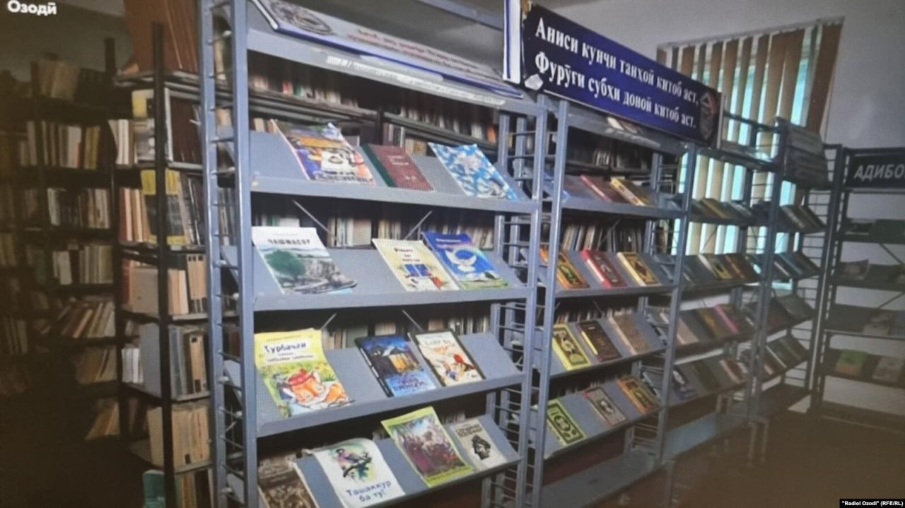 photo_5312536076419273607_y