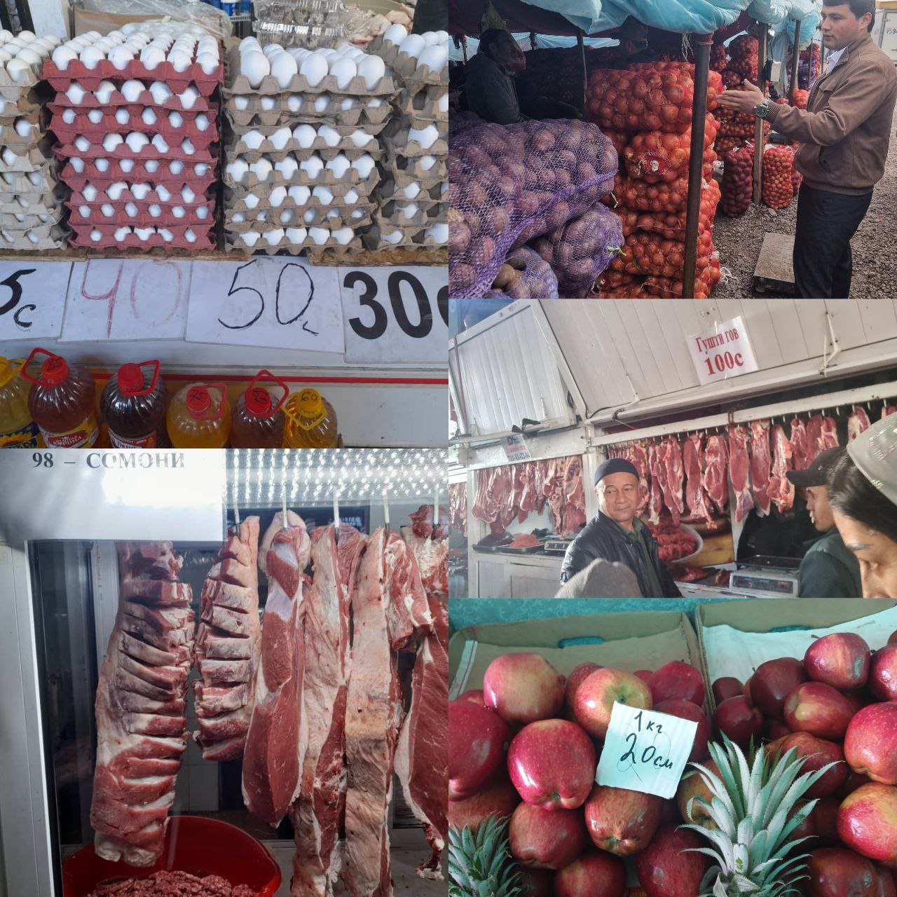 photo_5316882729351714708_y