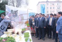 Ҷашни Наврӯз дар ДДБ