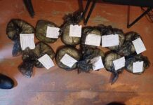 Чор нашъаҷаллоб боздошт шуд