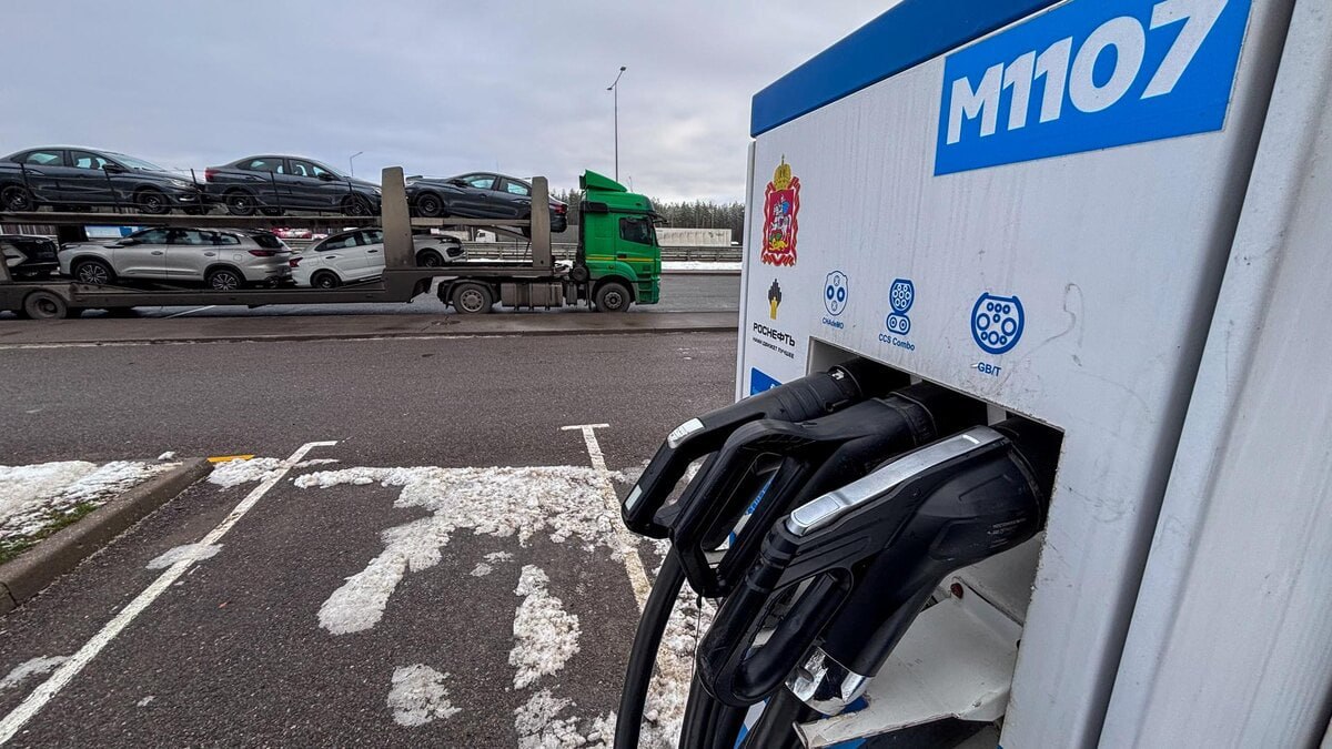 photo_5348383441134752648_y