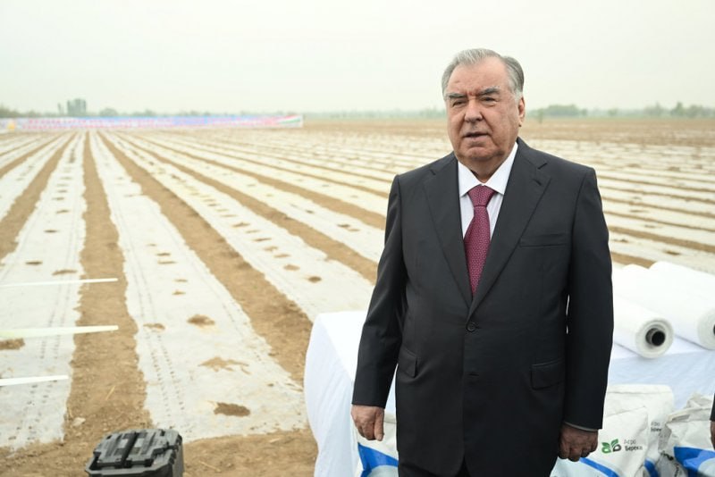 photo_5357391387713803718_x