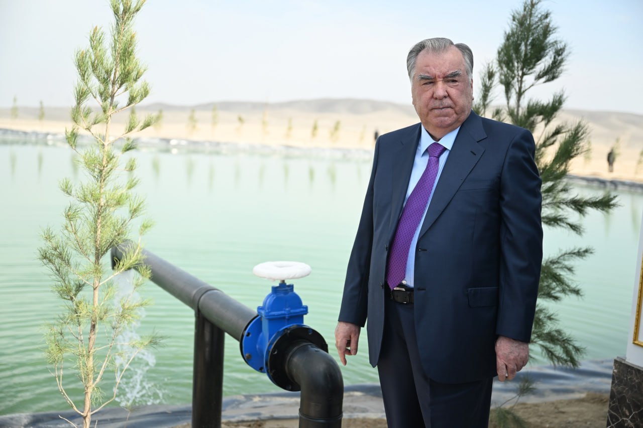 photo_5357391387713803849_y