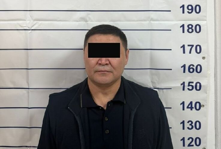 photo_5361779723303850932_x